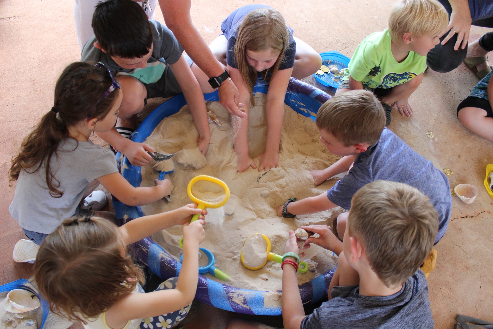 This Week @ Your Library May 24-31