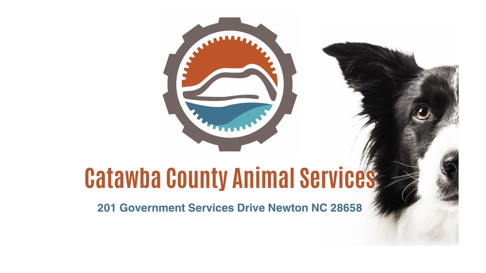 Temporary Suspension of Non-Emergency Owner Surrenders Effective August 18th