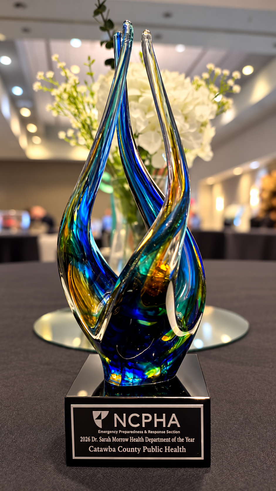NC Health Department of the Year